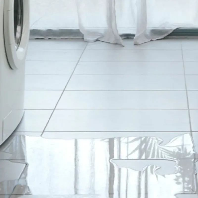 Appliance Leak Cleanup in Lake Camelot, IL