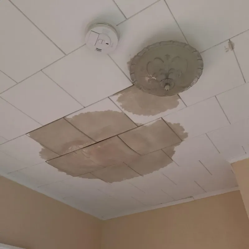 Ceiling Water Damage Repair in Lake Camelot, IL