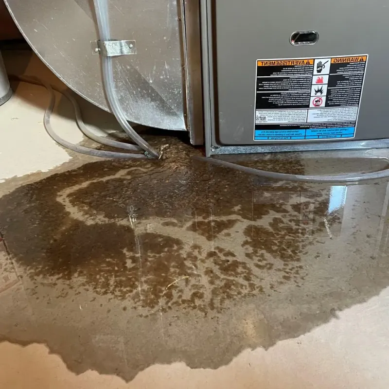 Pipe Burst and Leak Restoration in Lake Camelot, IL