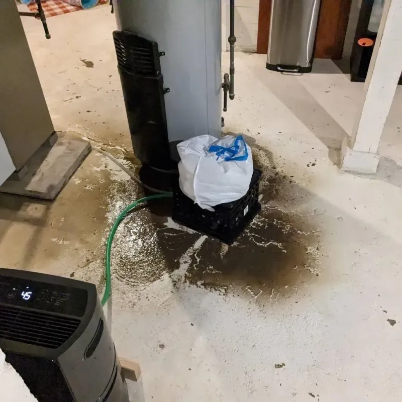 Sewage Backup Cleanup Service in Lake Camelot, IL